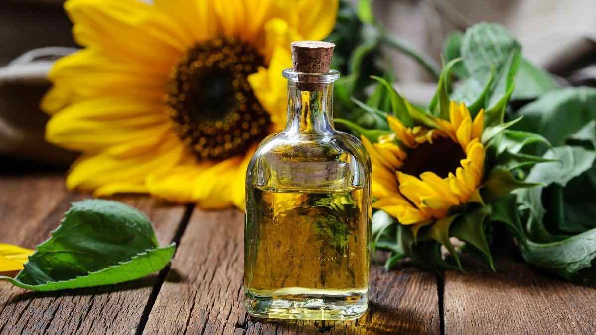 sunflower-oil-health-benefits